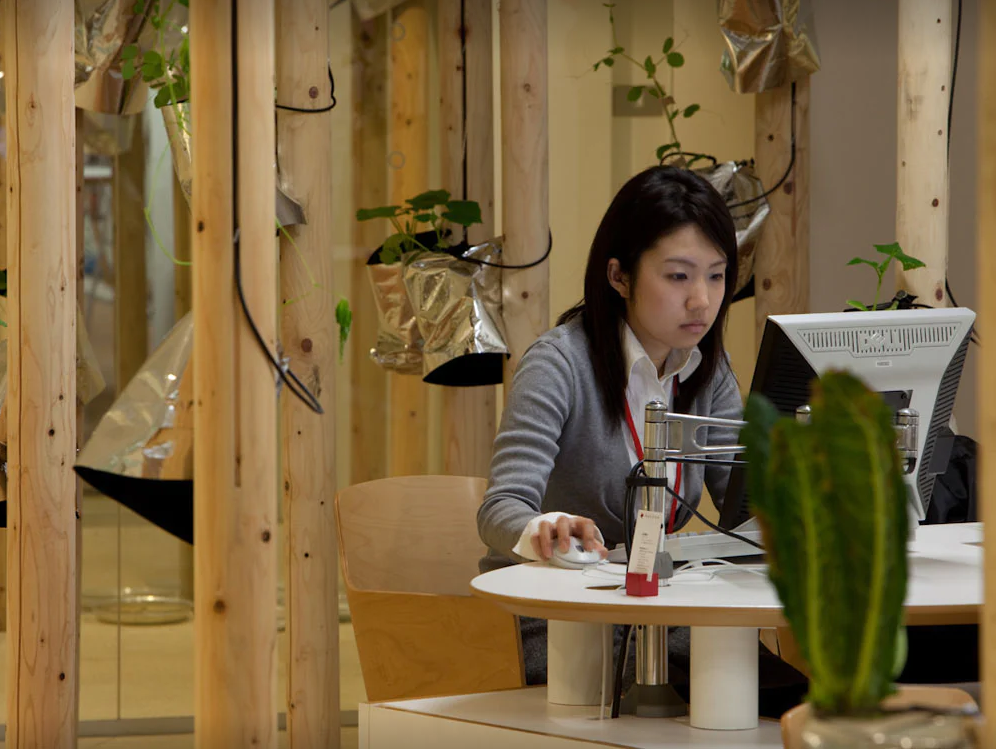 农场|从农场到餐桌，开启办公生活新方式