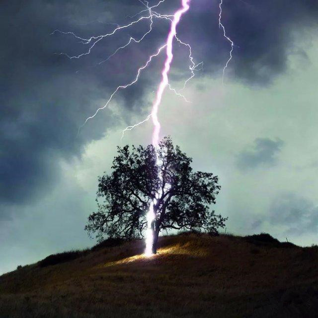 玛丽·安宁|致敬了不起的她：古生物界的“超级玛丽”！