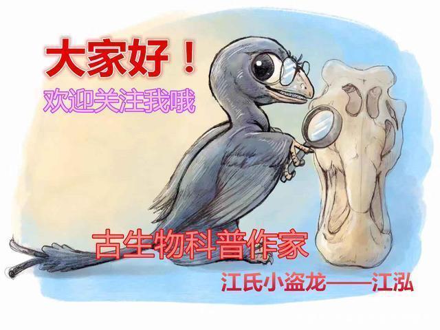 玛丽·安宁|致敬了不起的她：古生物界的“超级玛丽”！