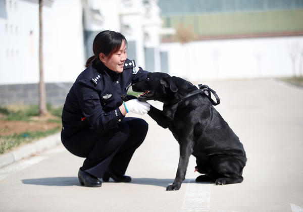 作为警犬训导员,女性和男性相比,有哪些优势和劣势呢?