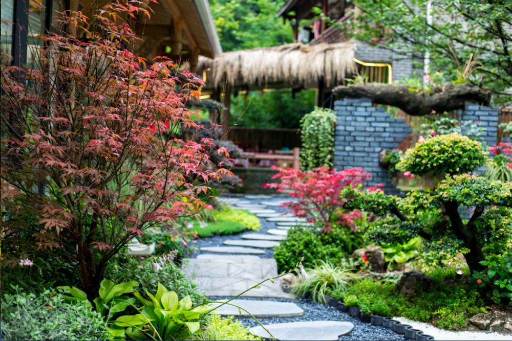 青城后山这家温泉民宿日式庭院超大露台私房美食带你住进山野里