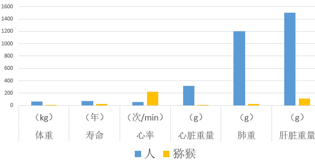 异种器官移植|异种器官移植！未来十年，这项科幻般的技术可能颠覆性出现！