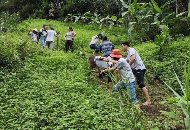 甘肃者来村:村民棕发碧眼是基因变异?某种诅咒?专家给出科学解答