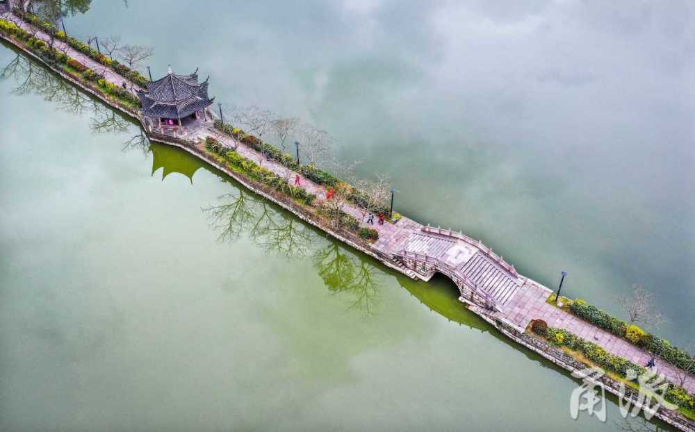 慈湖三月拂堤杨柳醉春烟