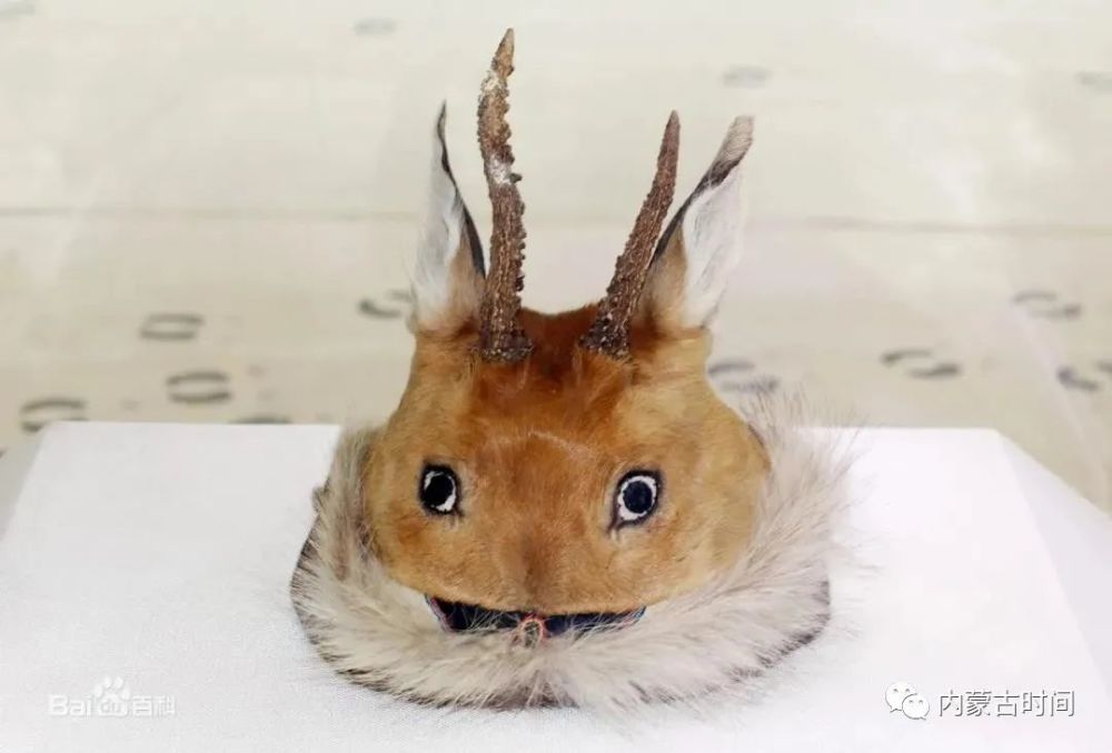 帽子拥有自己的专属名字:密塔哈每逢重大节日或庆典才会佩戴而对于