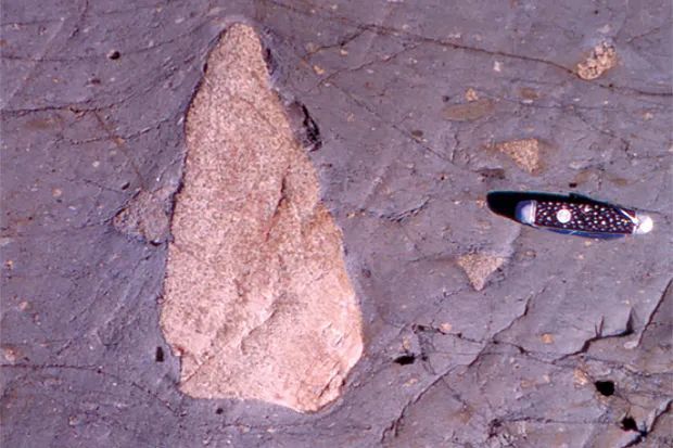 地球|我们的地球曾经寒冷到什么程度？