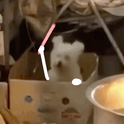 【表情包】老实说 不是不是喜欢我