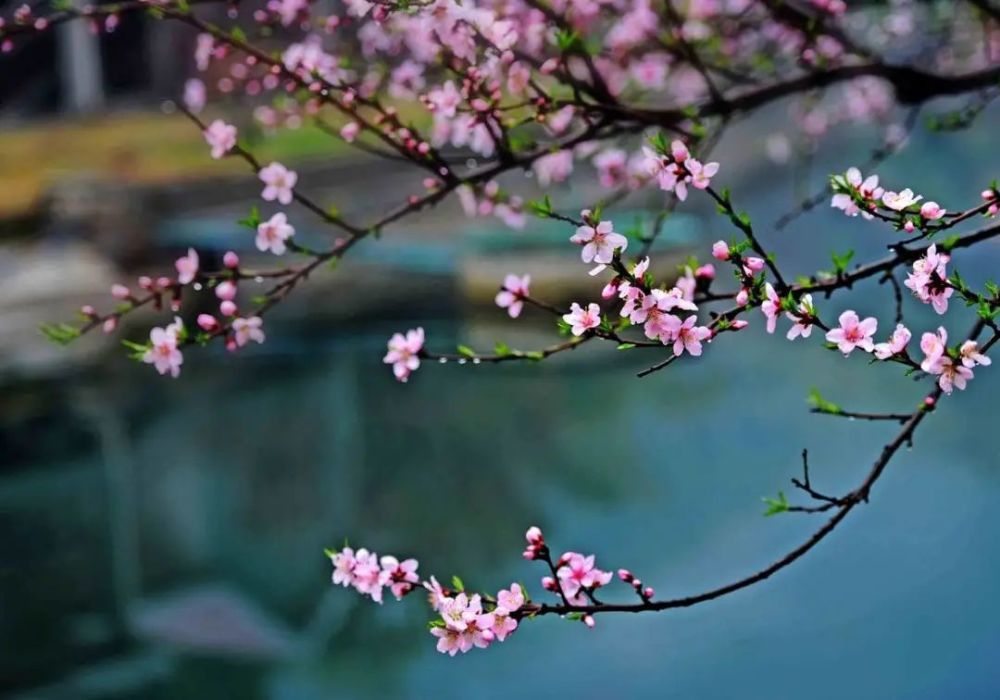 古詩七律九首蒼穹三千靚紅妝九天悠悠女兒香