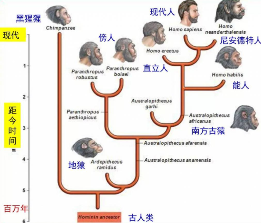 虱子|几十年前农村很多人头上都有虱子，为何如今突然没了？