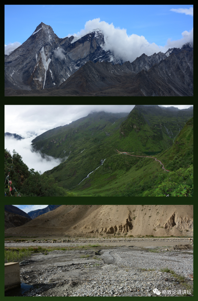 昆虫|这只看上去平平无奇的虫子，却藏着一个“弹药库”？