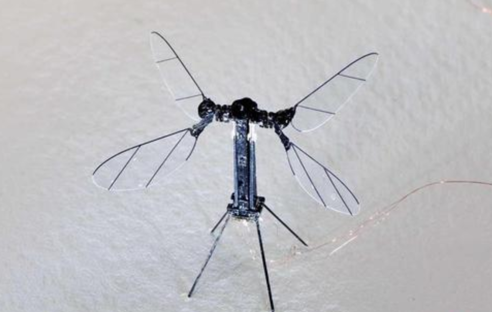 人造苍蝇机器人今天终于发明出来了背后有你不知道的艰辛