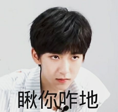 贺峻霖小可爱滴表情包