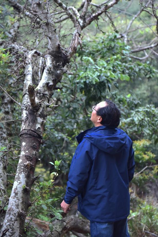 巡护者廖吉祥平淡的背后是沉甸甸的责任