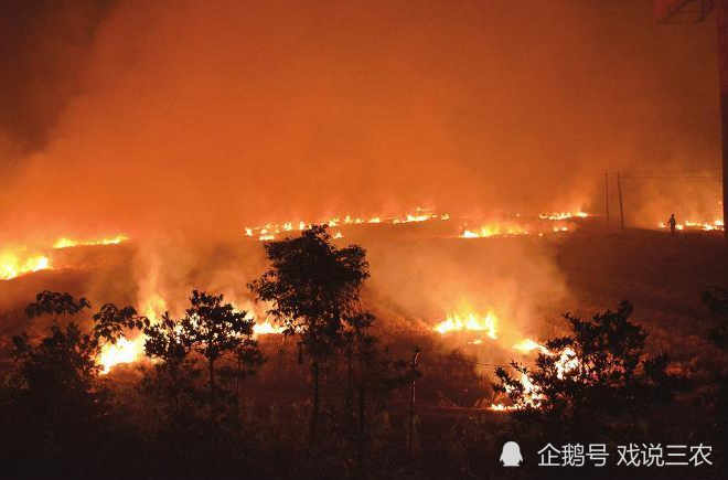 秸秆|全面禁烧？违者严罚！还田弊端凸显，农民的损失谁来担？专家呢？