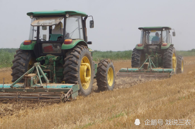 秸秆|全面禁烧？违者严罚！还田弊端凸显，农民的损失谁来担？专家呢？