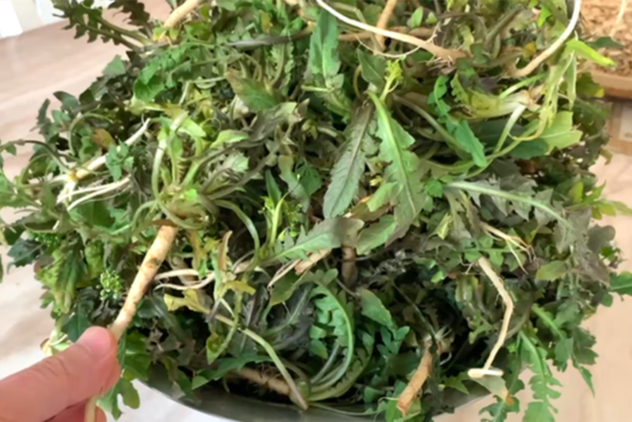 105岁老人再三提醒:3月这菜金不换,遇见就囤30斤