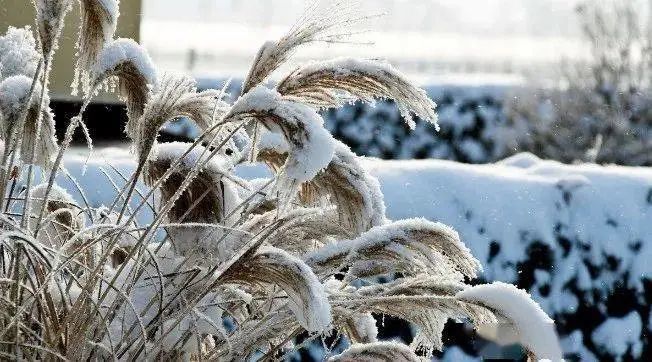 欢田喜地|俗语：“三月害怕‘寒回头’，四月害怕‘蒸死牛’”，是啥意思？