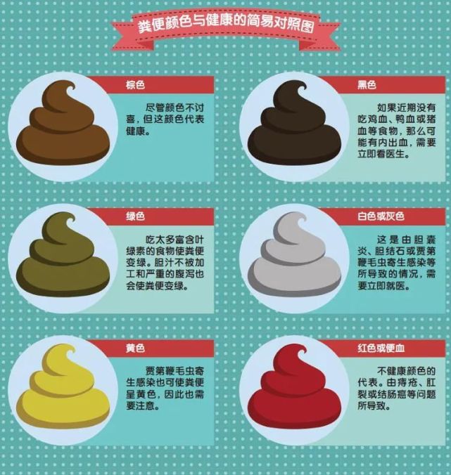 肠道|胆汁|粪便颜色