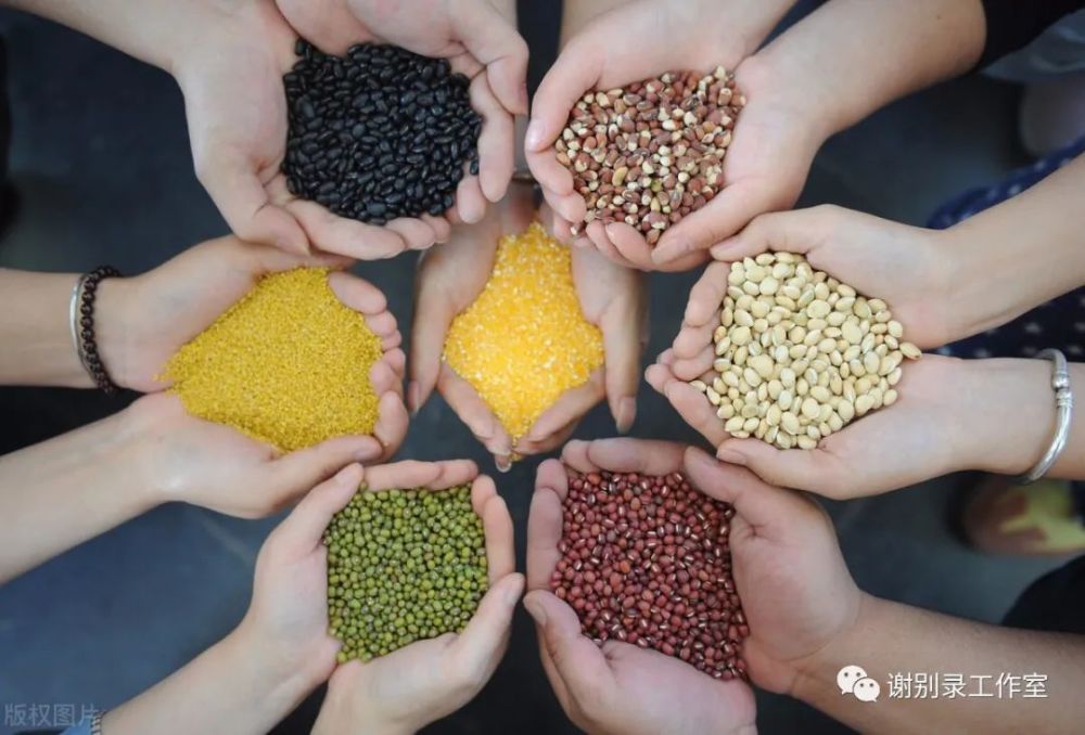 粗粮|粗粮不是吃的越多越好，血液病患者还是不吃的好！