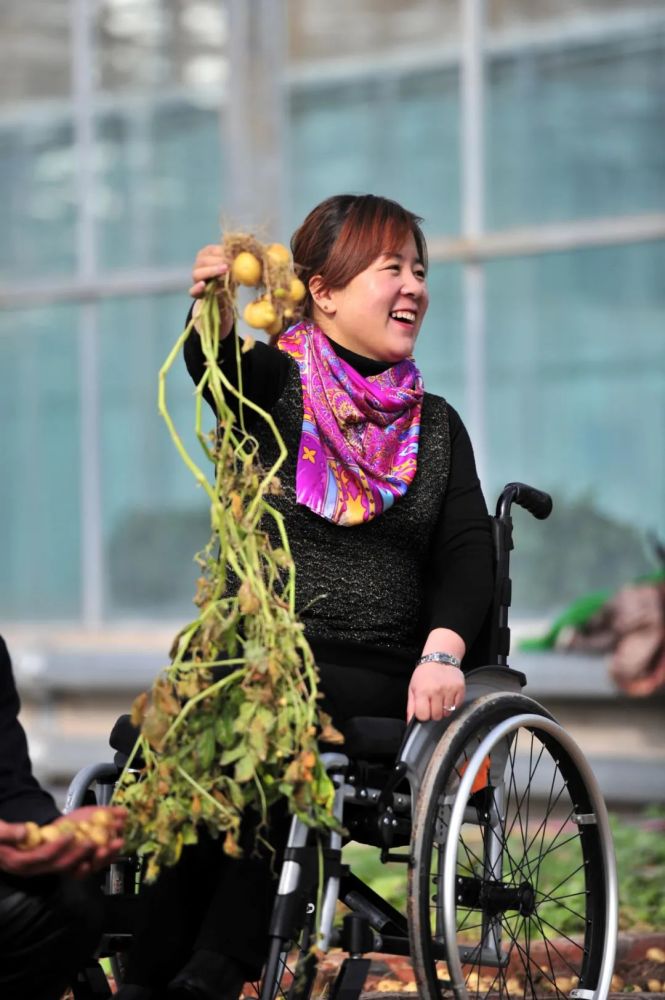 待到薯花烂漫时记全国脱贫攻坚先进个人李晓梅