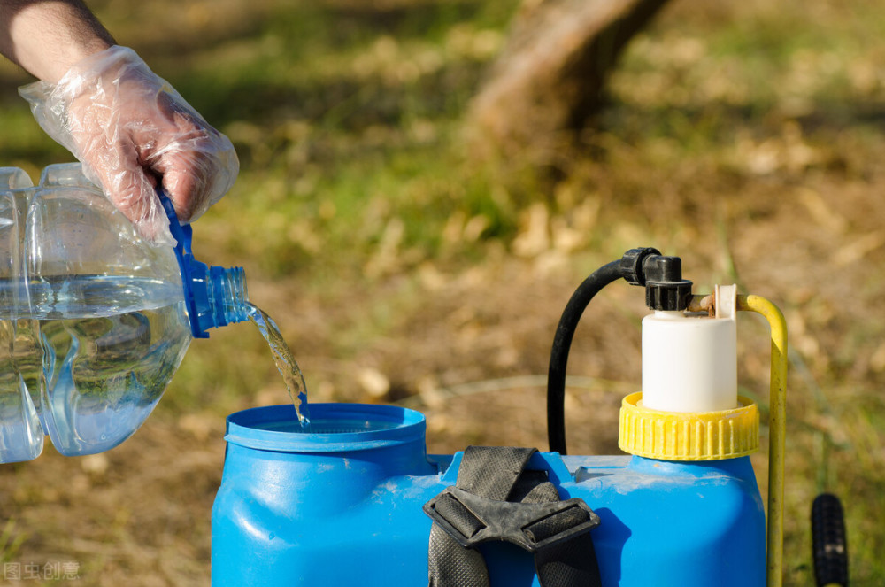 蜜蜂|爱因斯坦预言成真？草甘膦加速蜜蜂灭绝，人类或走上自我毁灭之路