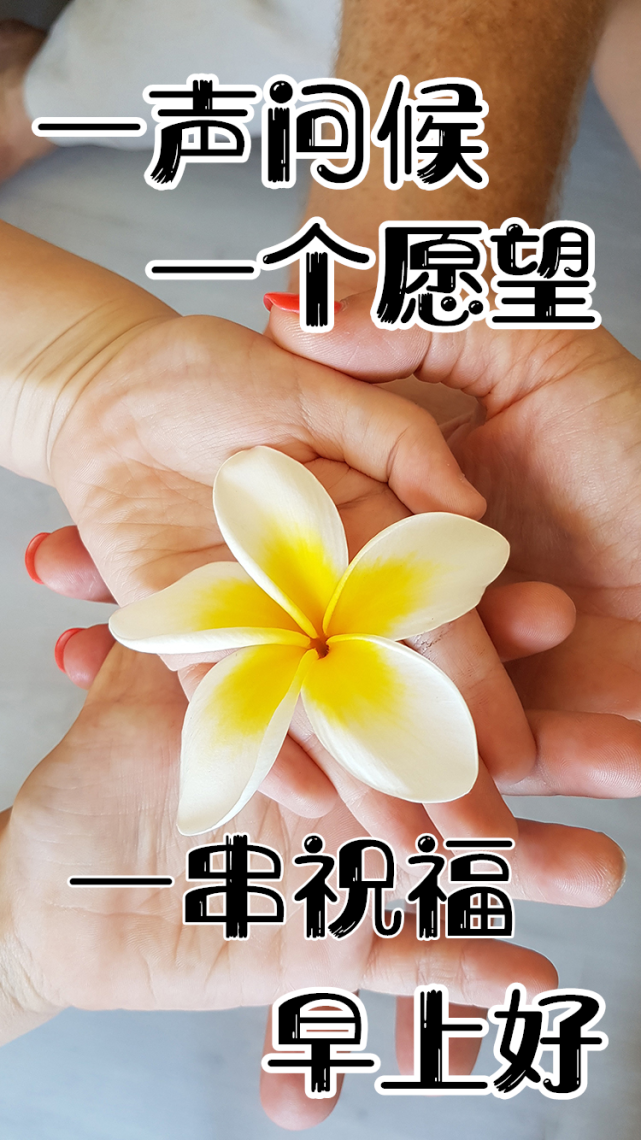 3月10日最漂亮早上好动态表情图片大全 早晨好动图美图大全 太阳 向日葵