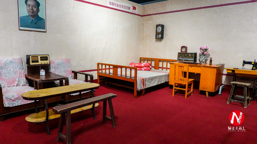 恐龙|走进甘肃金昌博物馆看恐龙，给你侏罗纪公园一样的刺激