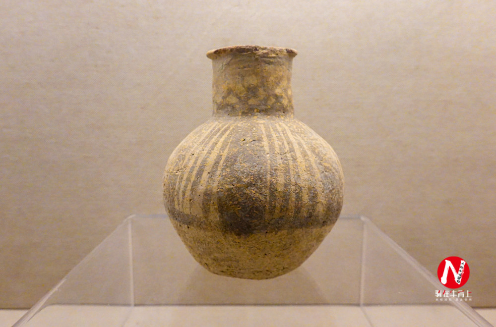 恐龙|走进甘肃金昌博物馆看恐龙，给你侏罗纪公园一样的刺激