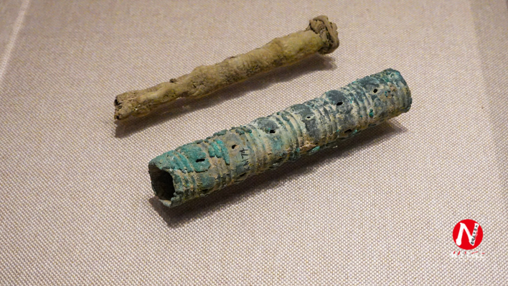 恐龙|走进甘肃金昌博物馆看恐龙，给你侏罗纪公园一样的刺激