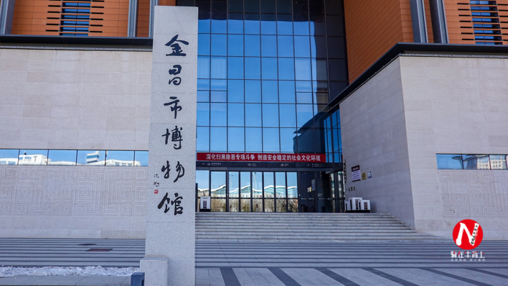 恐龙|走进甘肃金昌博物馆看恐龙，给你侏罗纪公园一样的刺激