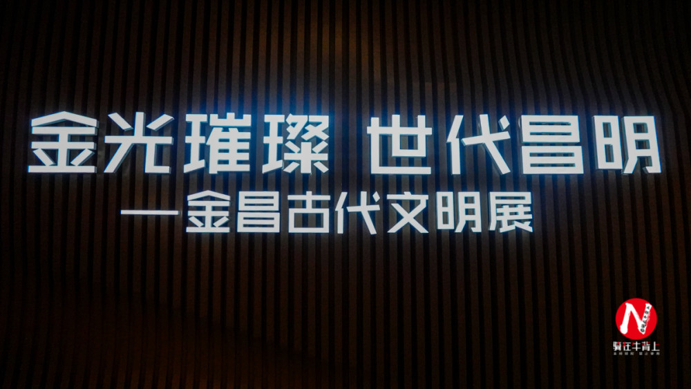 恐龙|走进甘肃金昌博物馆看恐龙，给你侏罗纪公园一样的刺激