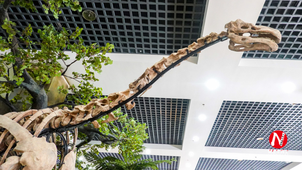 恐龙|走进甘肃金昌博物馆看恐龙，给你侏罗纪公园一样的刺激