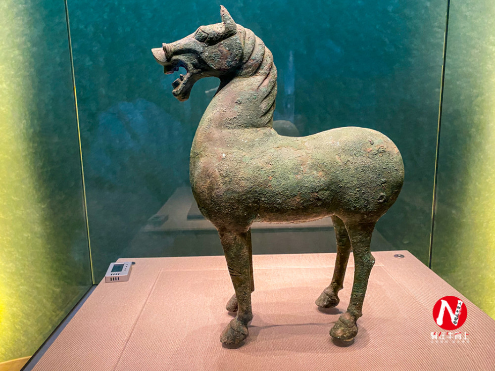 恐龙|走进甘肃金昌博物馆看恐龙，给你侏罗纪公园一样的刺激