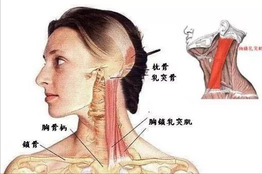 頭部前引有多大危害?如何糾正這個壞毛病呢?_騰訊新聞