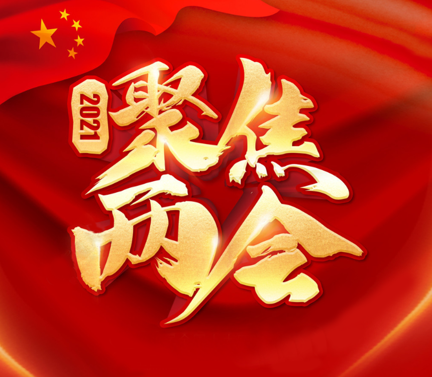 陈国斌：庆祝2021全国两会胜利召开书画精品展