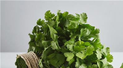 不要再以为它是香菜了,本名大芫菜,散寒止疼促进代谢