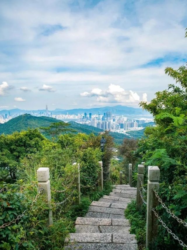 登上山顶能看到 罗湖,福田,南山的景色,山上还有风景优美的小路.