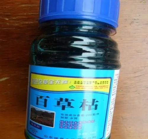 人误食了百草枯后第一时间怎样施救?