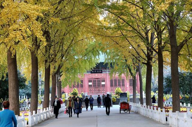 大家若是對這座公園充滿好奇,就來鄭州看一看這座公園的東大門究竟醜