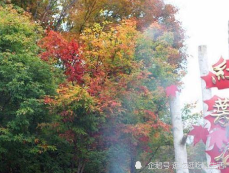 北京 红叶 有香山 吉林 红叶 必须要去蛟河红叶谷 腾讯新闻