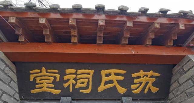 荣成这个村以两棵古树而闻名相传与四川眉山苏氏有渊源