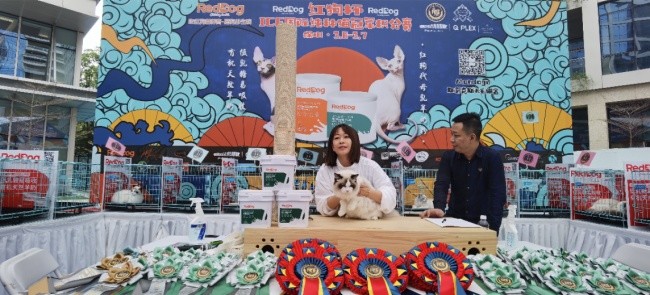 点此在新窗口浏览图片