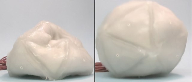 软体机器人进化论：温柔又害怕！_腾讯新闻
