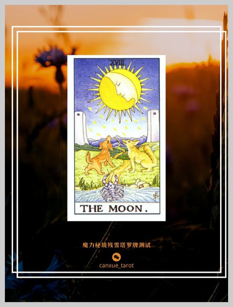 塔罗牌测试你的另一半在哪方面最旺你