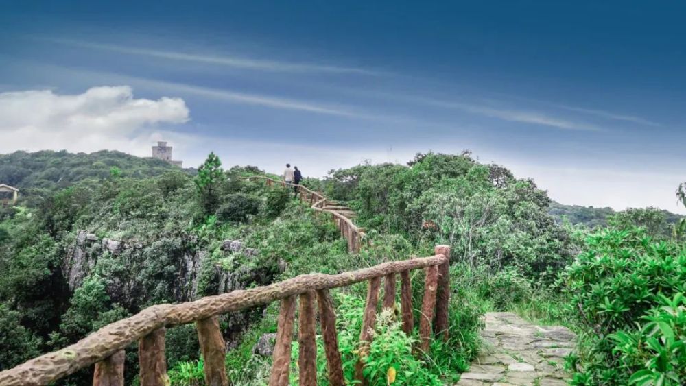 新平磨盘山樱你而醉今天等你来噢