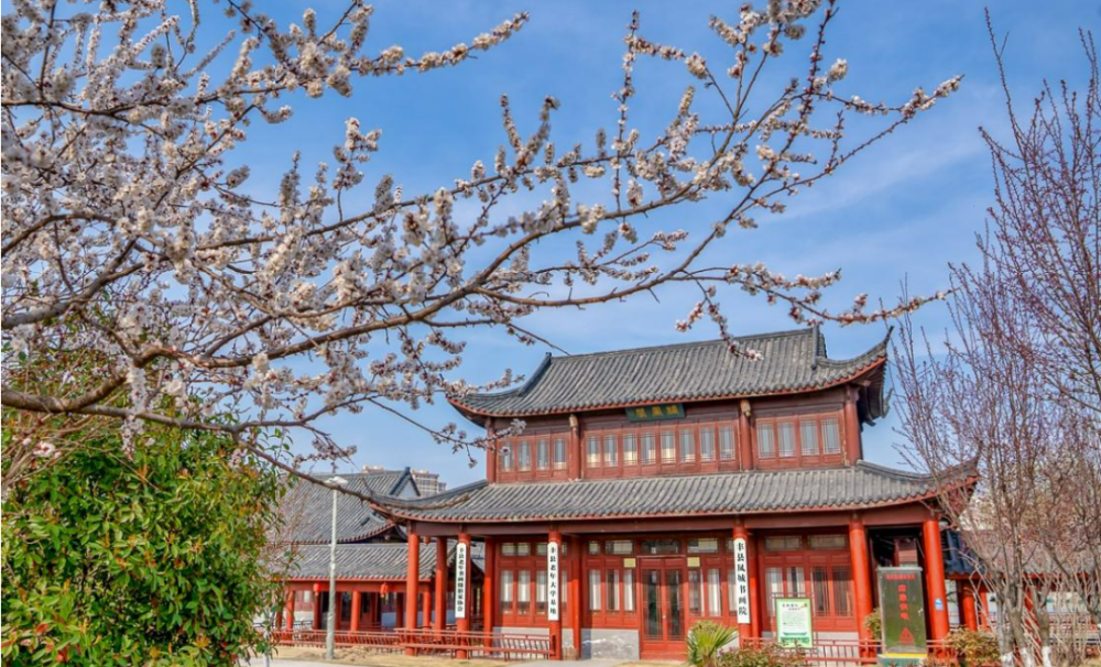 丰县栖凤园的春天_腾讯新闻