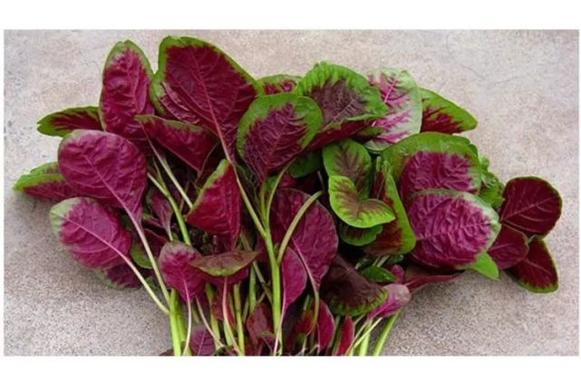 三月,是流连唇间的新鲜_腾讯网