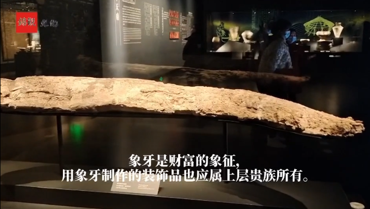 三星堆中的象牙从何而来