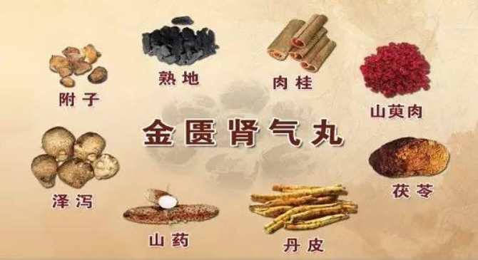 药组成及《金匮要略》中所记载的治证分析,肾气丸的功效应为温补肾气