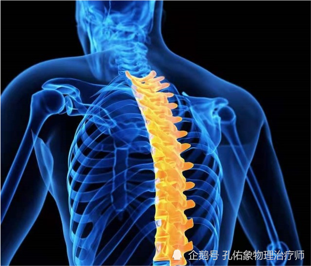 胸背,肩胛骨区域疼痛是咋回事?医生告诉您11种病因及应对方法